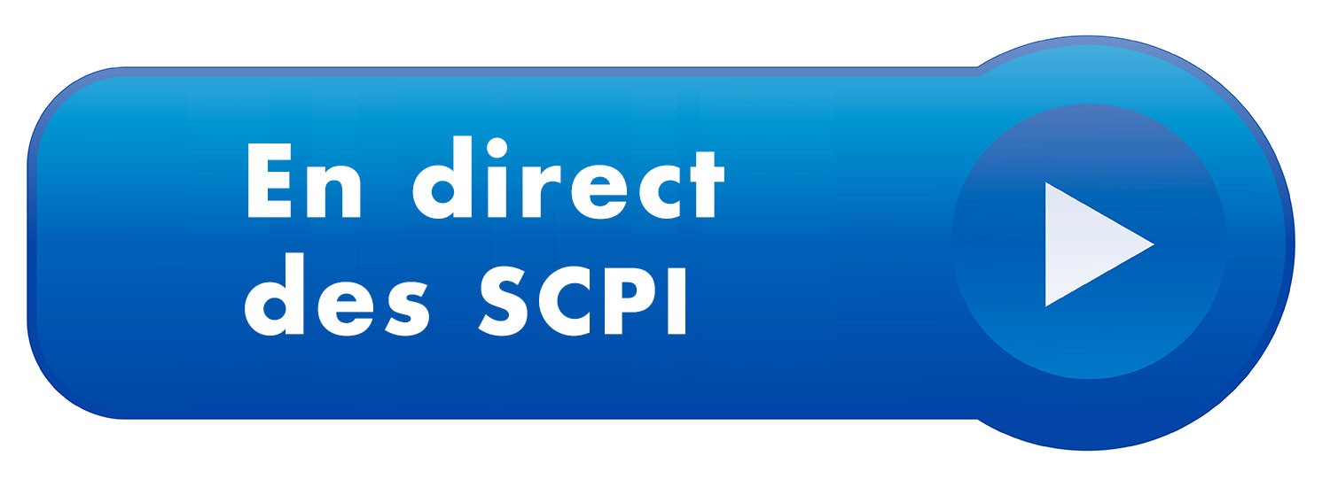 SCPI : les premiers rendements 2024 se dévoilent… image.