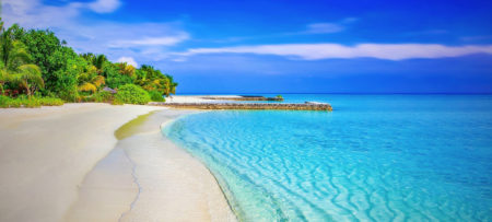 Bonnes vacances
